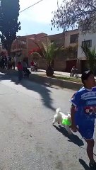 Des chiens participent à une course de descente chaotique