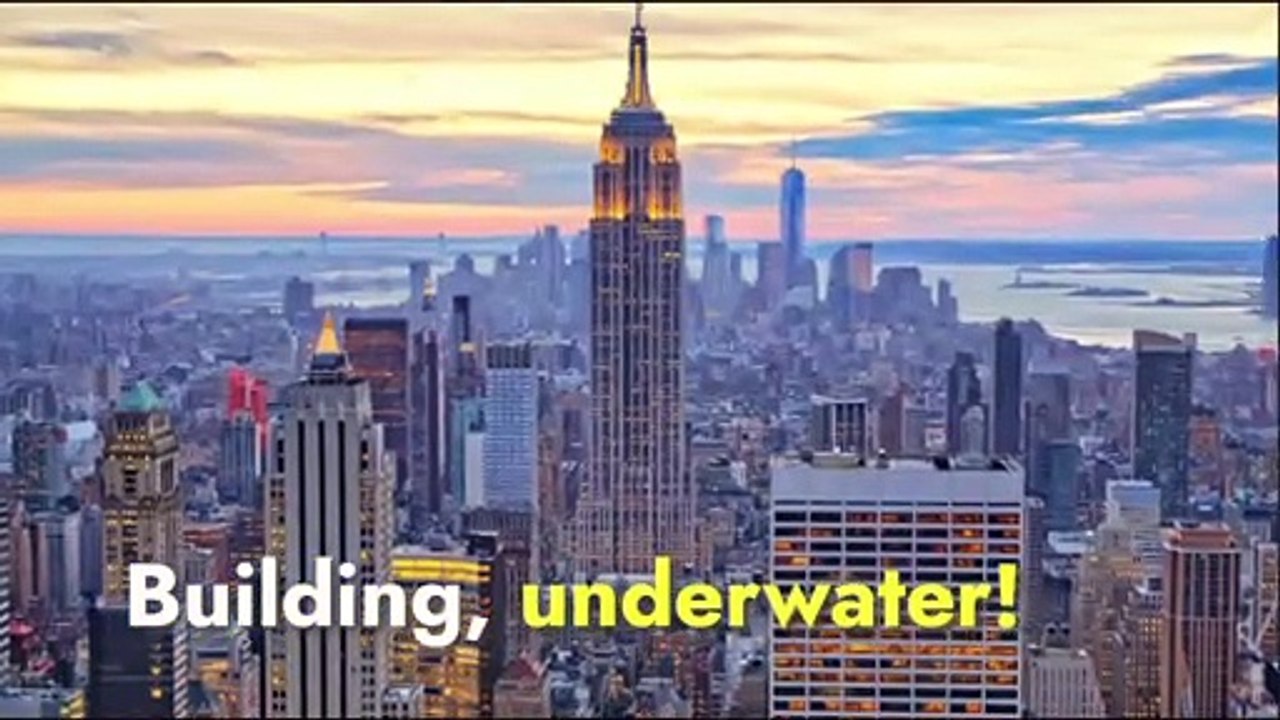 Secrets Unveiled: Mind-Blowing Elephant Seal Facts