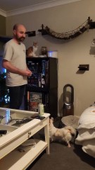 Pets Gather For Pet Of The Week Ceremony