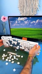 Omg! He Made A Bag With Keys Shorts