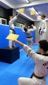 Taekwondo Tricks