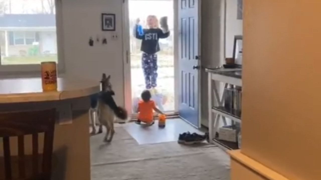 Siblings doing house chores team up to clean the unreachable areas *Cute Siblings Moment*
