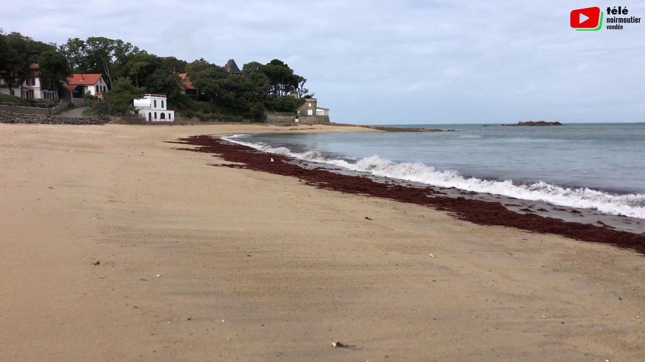 Noirmoutier | Fin de l'été 2023  |Télé Noirmoutier Vendée