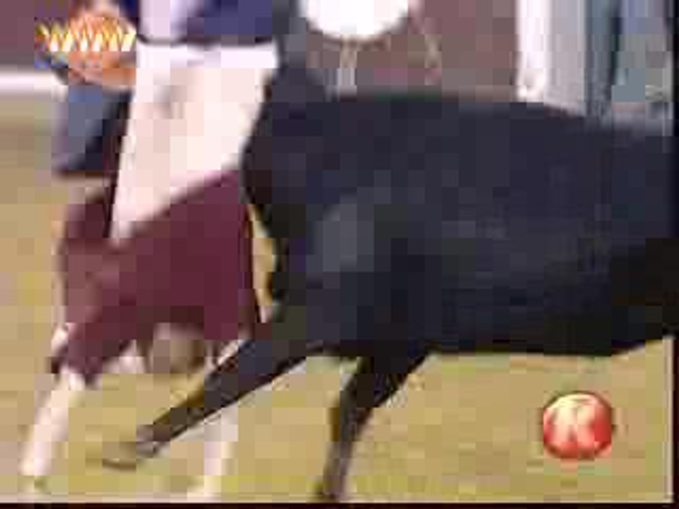 Olé ... Oh la vache !!