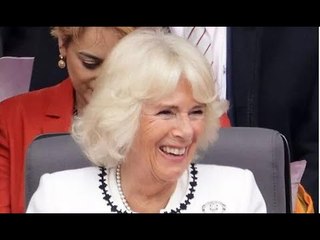 Je dois être gentil avec toi !' Camilla a un biographe en points de suture dans une boutade de livre