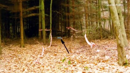 Ermittler decken Verbindungen auf: Familiäre Beziehungstaten im Fokus 🕵️‍♂️