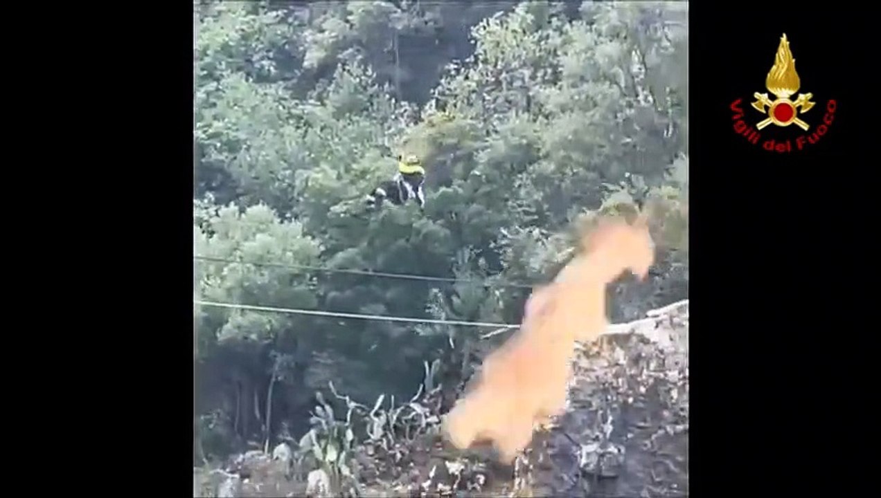Video Alcantara