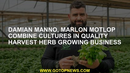Damian Manno, Marlon Motlop combine cultures in Quality Harvest herb growing business
