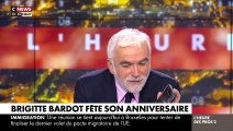 Brigitte Bardot surprend Pascal Praud en direct sur CNews, à l'occasion de son 89ème anniversaire.