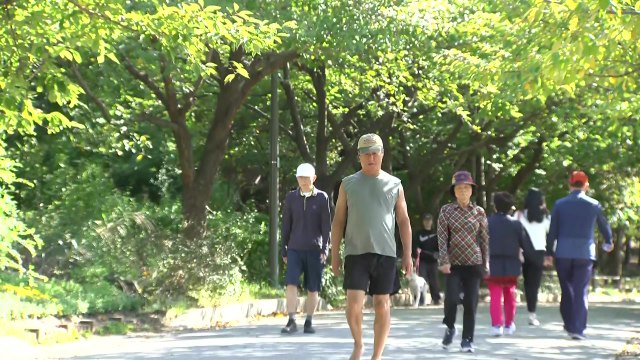 [날씨] 청명한 가을 날씨...바람 불며 낮 동안 선선 / YTN