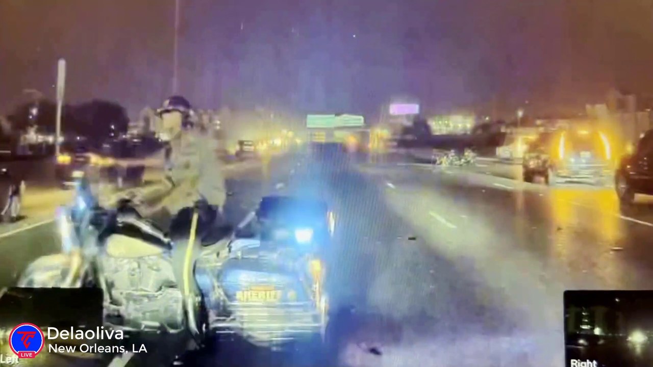 Tesla Almost Run a Police Officer Over | TeslaCam Live