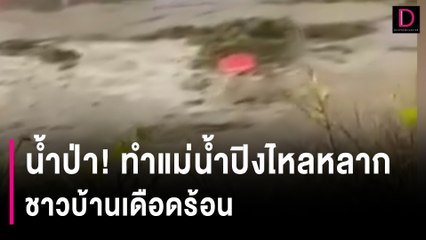 น้ำป่า!ทำแม่น้ำปิง ซัดสะพานข้ามเชียงใหม่-ลำพูนขาด ชาวบ้านเดือดร้อน | HOTSHOT เดลินิวส์ 01/10/66