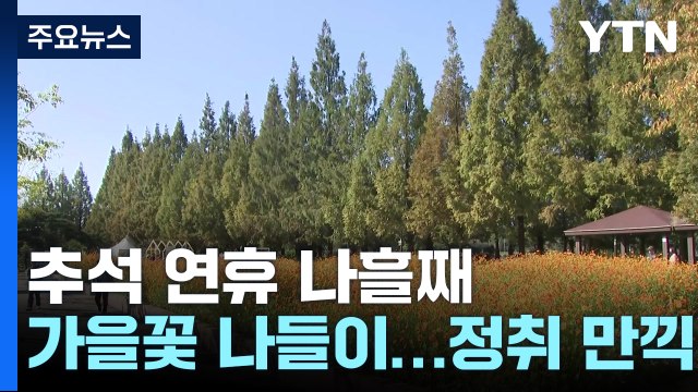 추석 연휴 넷째 날...가족과 함께 가을꽃 나들이 / YTN