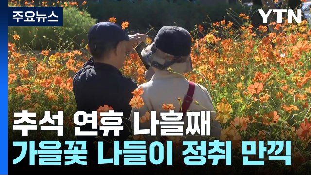 추석 연휴, 소중한 사람과 함께 보내는 가을꽃 나들이 / YTN