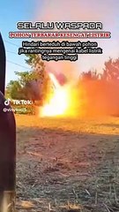 The Danger of Trees Touching Power lines