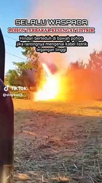 The Danger of Trees Touching Power lines