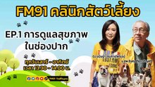 การดูแลสุขภาพช่องปาก EP.1 : FM91 คลินิกสัตว์เลี้ยง : 30 กันยายน 2566