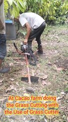 Farming with the Use of Grass Cutter in Titay Zamboanga Sibugay
