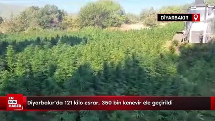 Diyarbakır'da 121 kilo esrar, 350 bin kenevir ele geçirildi