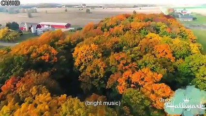 A Harvest Homecoming 2023  NEW Hallmark Romance Movies 2023  Best Hallmark Movies 2023 full_360p