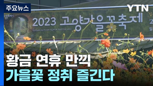 소중한 사람과 푹 빠져드는 가을꽃 정취 / YTN