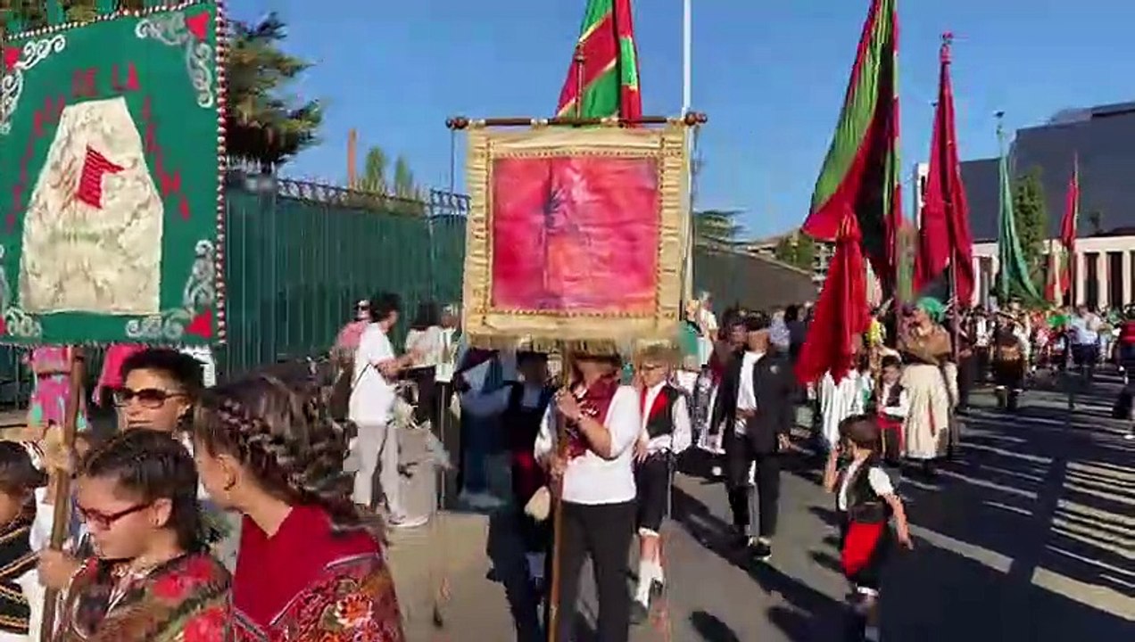 Pendones por San Froilán (II)