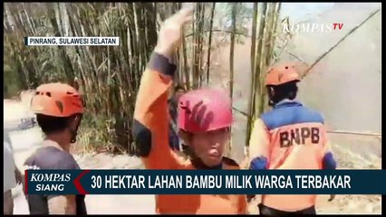 30 Hektar Lahan Bambu Milik Warga di Pinrang Terbakar