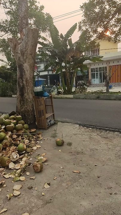 Penjual dogan pinggir jalan 5rb /bh