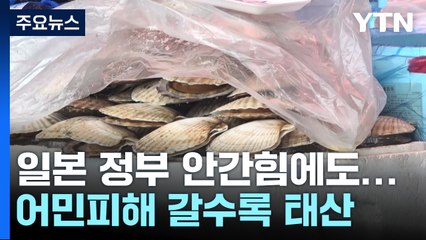 日 어민피해 갈수록 태산...2차 방류 후 파장은? / YTN