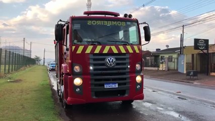 Bombeiros resgatam porco-espinho que estava em bar de residência no Floresta