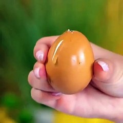 İnanılmaz bir bitki yetiştirme yöntemi