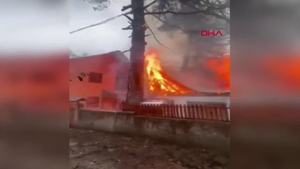 Osmaniye'de yıldırım düşen ağaç yangını kontrol altına alındı