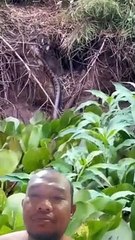 Mancing Lihat ini !! lebih baik kabur