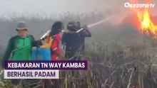 Kebakaran TN Way Kambas Berhasil Padam, Kawasan Masih Dijaga Ketat