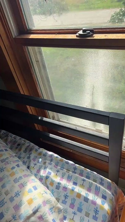 An Alternative to Killing Wasps