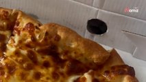 Cane ruba un pezzo di pizza, lo seguono e si commuovono scoprendo il suo segreto (Video)