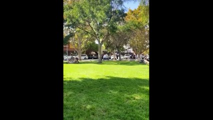 Funniest Animals Videos 2023  Try Not To Laugh Funny Dogs And Cat