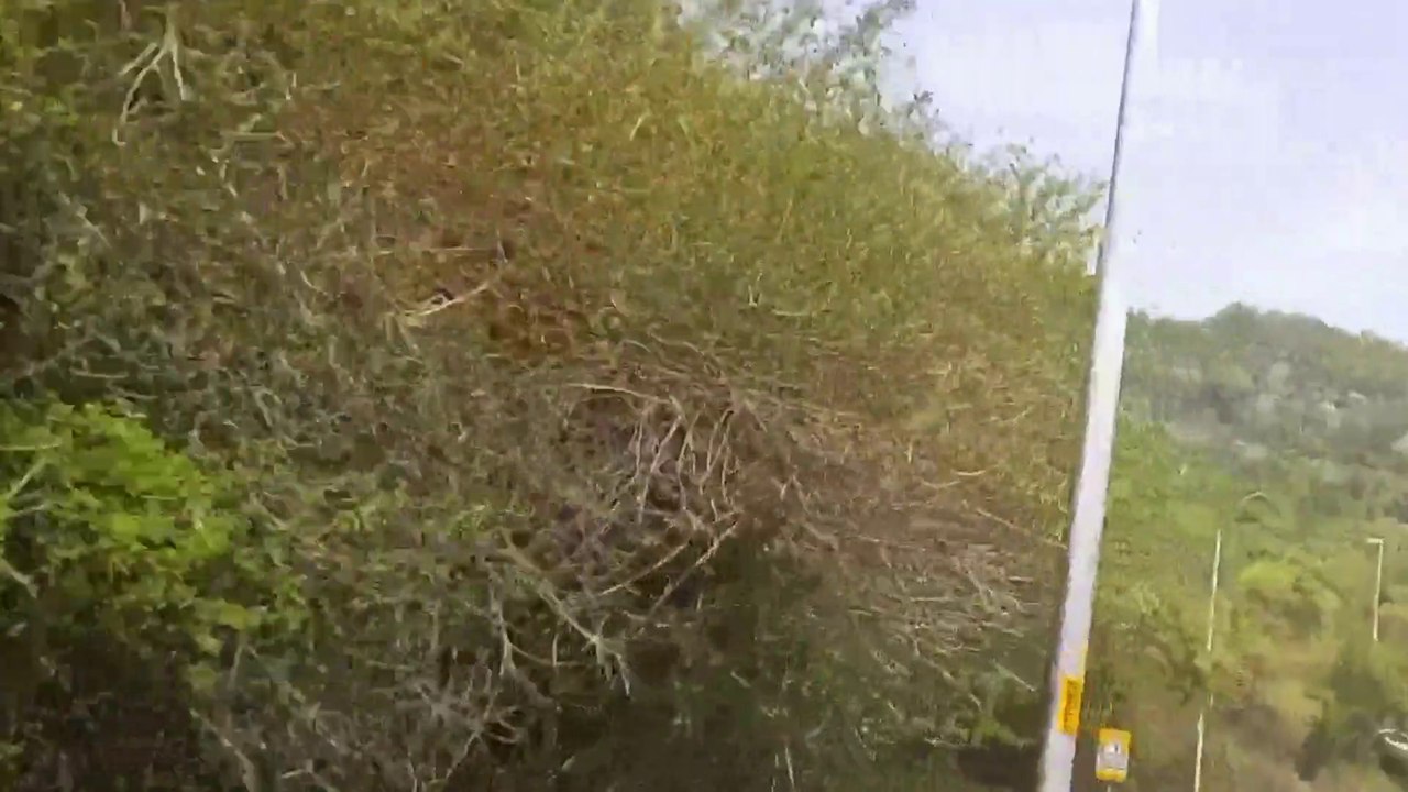 Margalla Hills short video