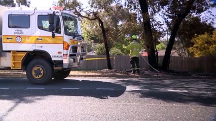 Canberrans urged to update emergency survival plans ahead of bushfire season