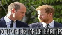 Harry en tête-à-tête avec William ? Kate Middleton met son grain de sel !