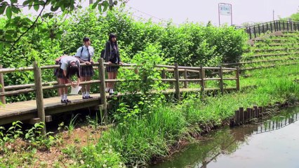 Devotion to Cinema | movie | 2016 | Official Trailer