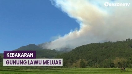 Kebakaran Hutan Gunung Lawu Meluas ke Kawasan Magetan