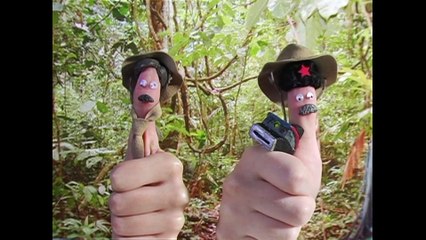 All TWF Vacation Segments