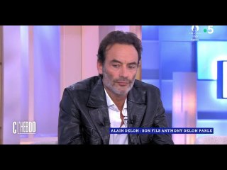 VIDEO: "C'est la réponse du berger à la bergère" : Anthony Delon réplique aux attaques d'Hiromi Roll