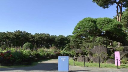 [날씨] 맑고 큰 일교차...수목원 나들이 즐겨요 / YTN