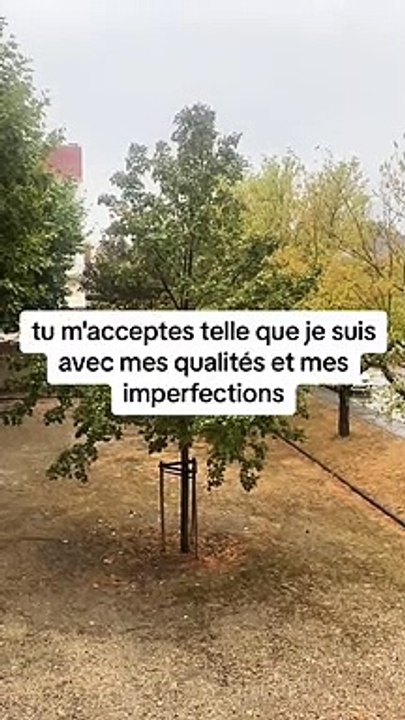 #citations #proverbe #motivation #conseildelavie #conseils #conseil #citationdujour #citation #like #explorepage #comment #following