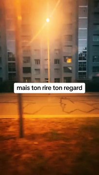 #citation #citationdujour #citations #conseil #conseils #conseildelavie #motivation (4)