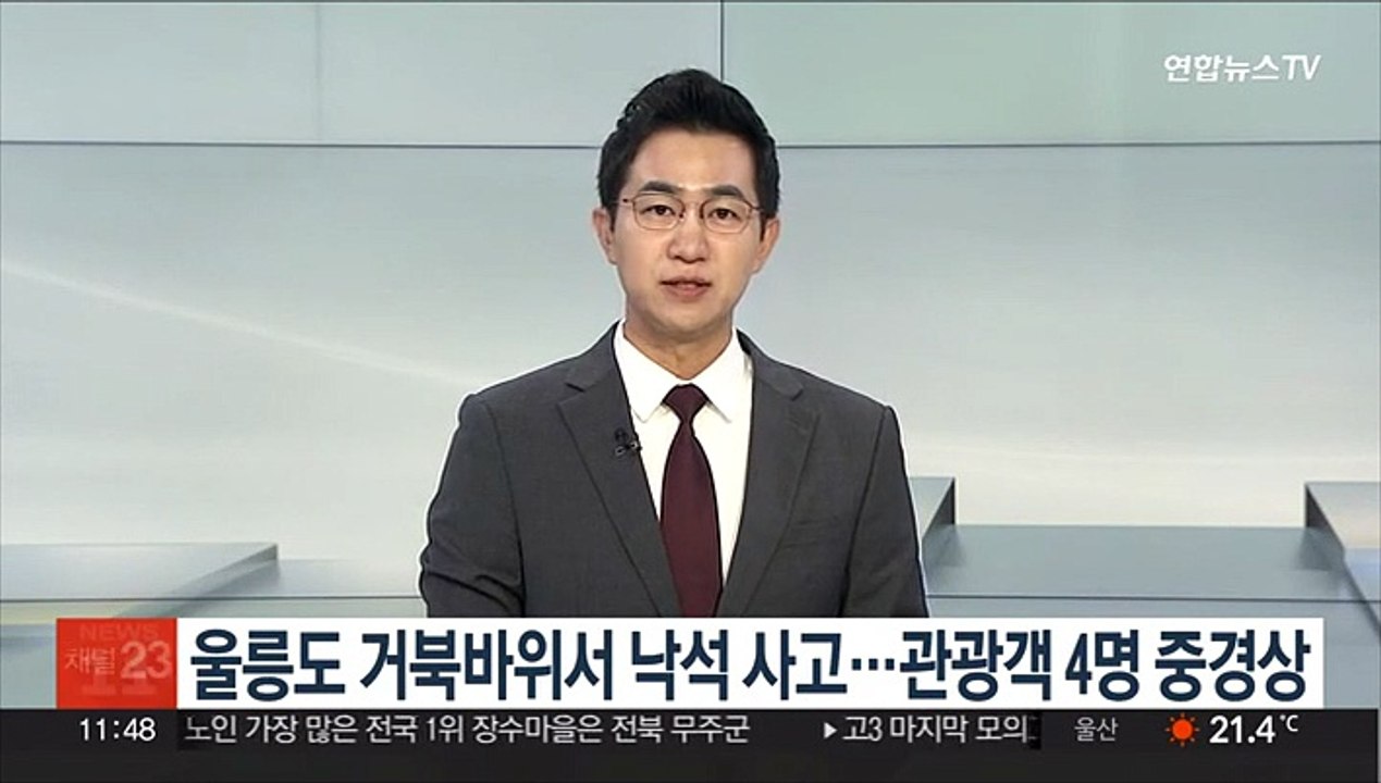울릉도 거북바위서 낙석 사고…관광객 4명 중경상