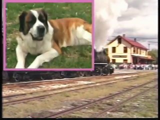 Bee Smart Baby - Baby Bumblebee - Vocabulary Builder Volume 1 (1999)