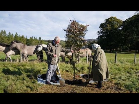 Plant a tree to commemorate the victims of the pandemic, Prince Charles prompts